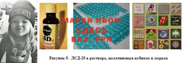 крисы Нея