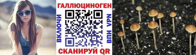 Псилоцибиновые грибы Cubensis  продажа наркотиков  Чистополь 